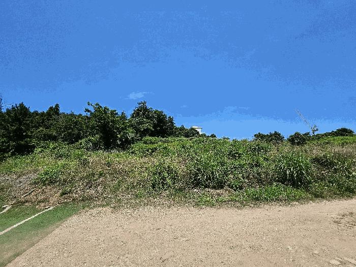 전라남도 완도군 완도읍 가용리 6 전 경매 사진 8