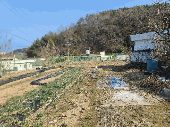 경상남도 거제시 장목면 율천리 518 답 경매 사진 2