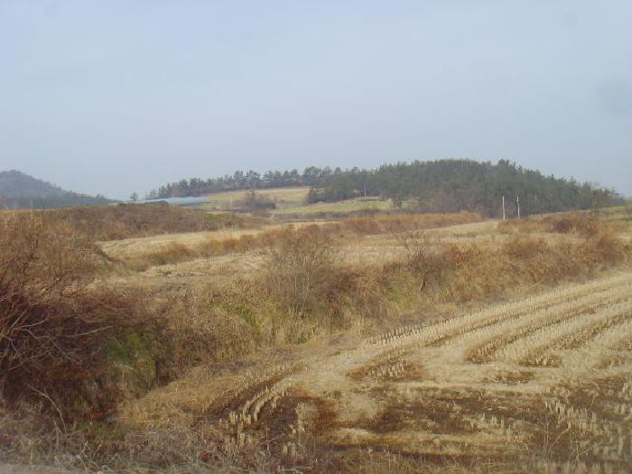 전라남도 해남군 황산면 원호리 700-1 전 경매 사진 12