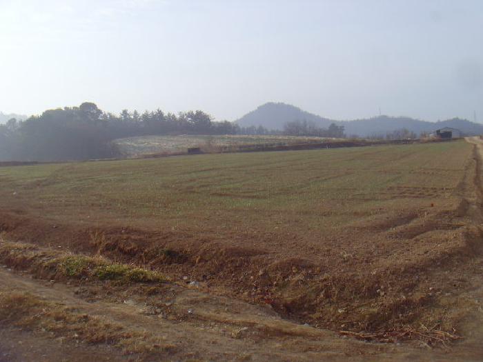 전라남도 해남군 황산면 원호리 787 임야 경매 사진 14