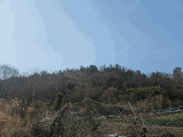 전라남도 완도군 생일면 유서리 산72 임야 경매 사진 2