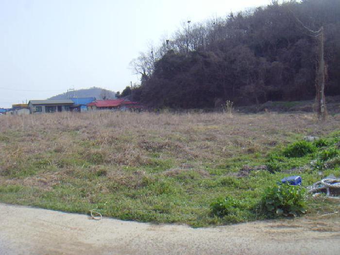 전라남도 진도군 고군면 지막리 1827-3 답 경매 사진 4