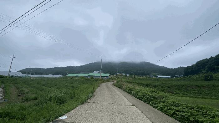 전라남도 진도군 군내면 분토리 산187 임야 경매 사진 1