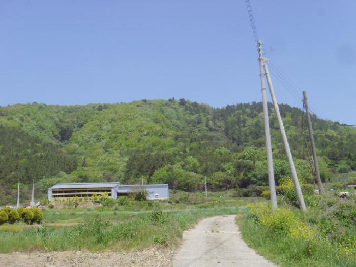전라남도 진도군 군내면 분토리 산187 임야 경매 사진 11