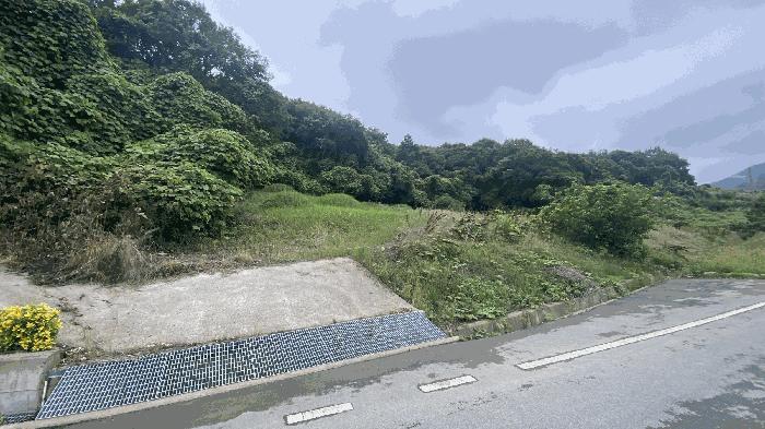 전라남도 진도군 군내면 분토리 산187 임야 경매 사진 5