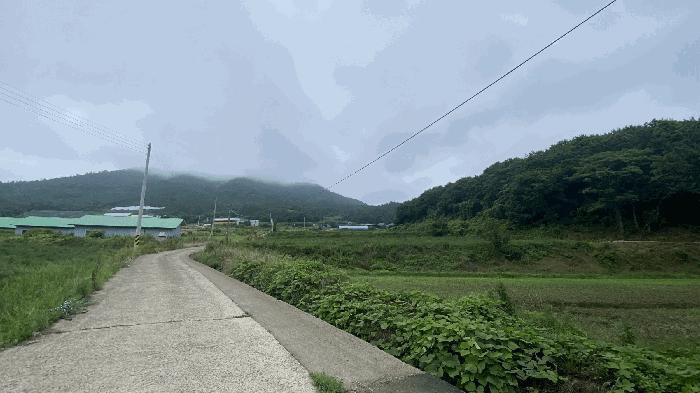 전라남도 진도군 군내면 분토리 산187 임야 경매 사진 6