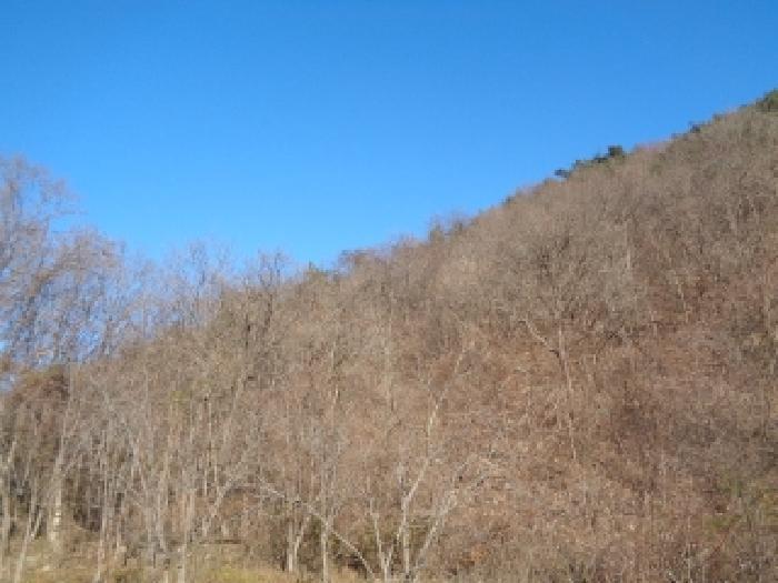 전북특별자치도 완주군 운주면 산북리 417-23 임야 경매 사진 11