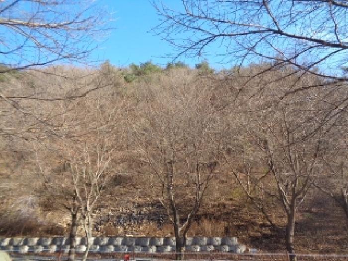 전북특별자치도 완주군 운주면 산북리 417-23 임야 경매 사진 6