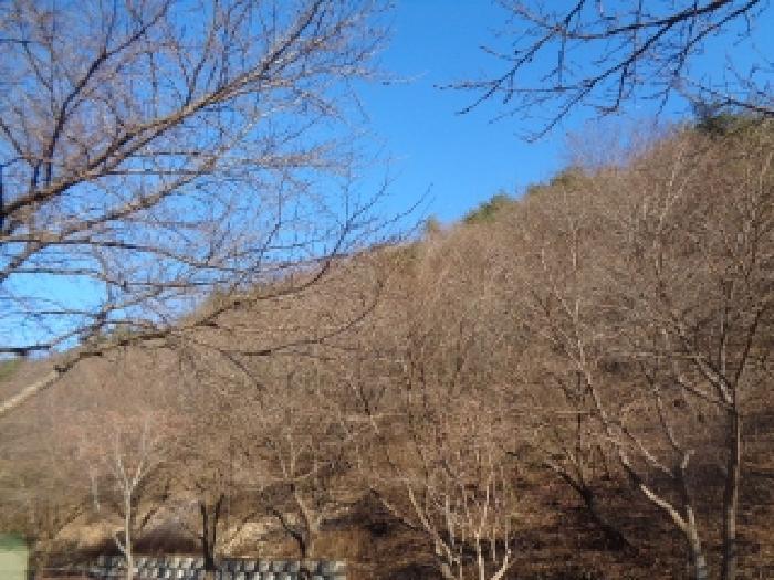 전북특별자치도 완주군 운주면 산북리 417-23 임야 경매 사진 7