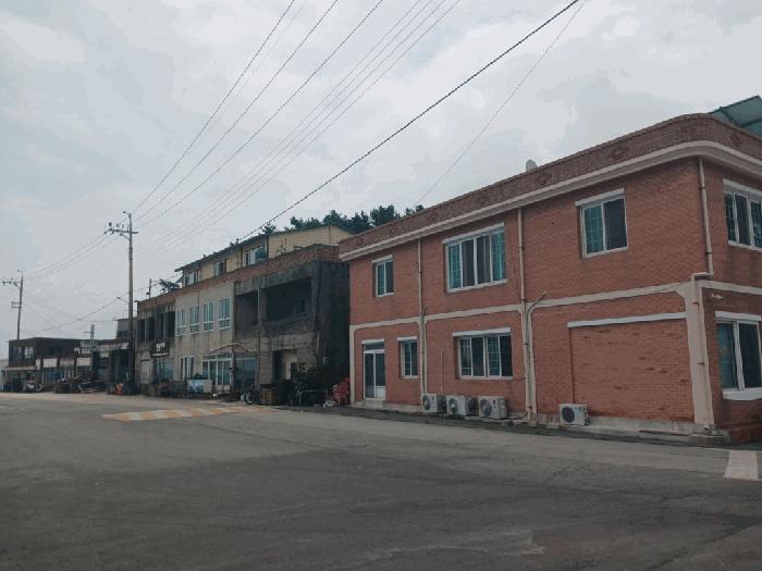 전라남도 완도군 잡종지
