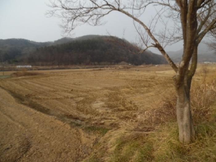 전북특별자치도 진안군 성수면 신기리 395-10 전 경매 사진 3