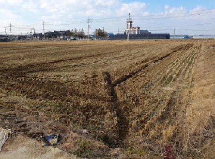전북특별자치도 김제시 봉남면 평사리 1291-5 답 경매 사진 16