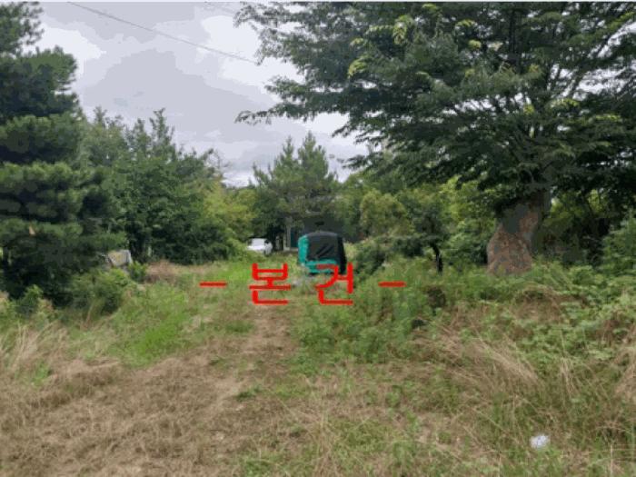 전북특별자치도 정읍시 소성면 등계리 300 전 경매 사진 1
