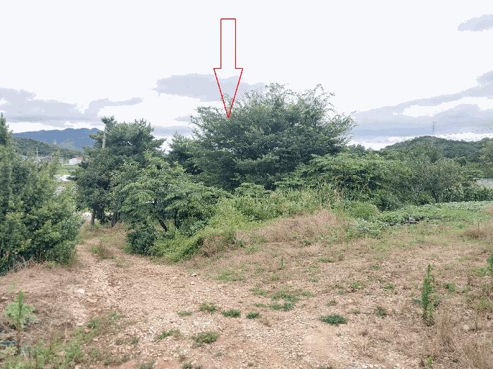 전북특별자치도 정읍시 소성면 등계리 300 전 경매 사진 2