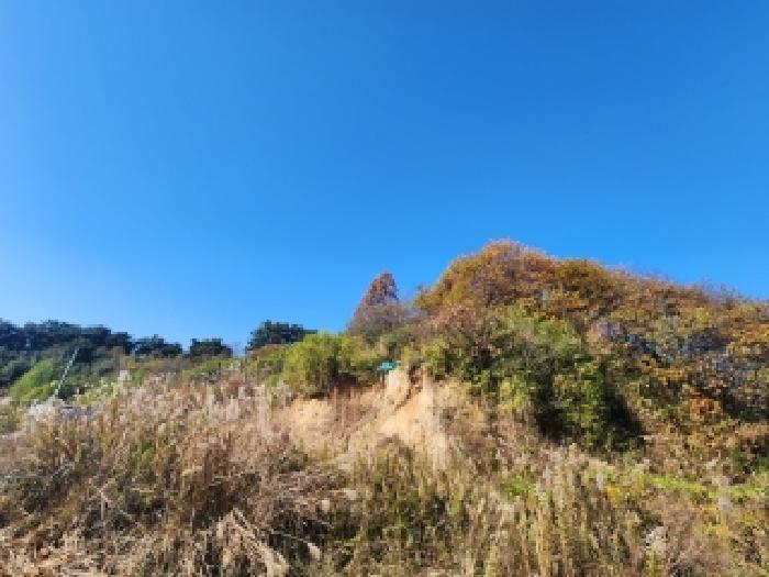 전북특별자치도 부안군 부안읍 연곡리 84-1 임야 경매 사진 9