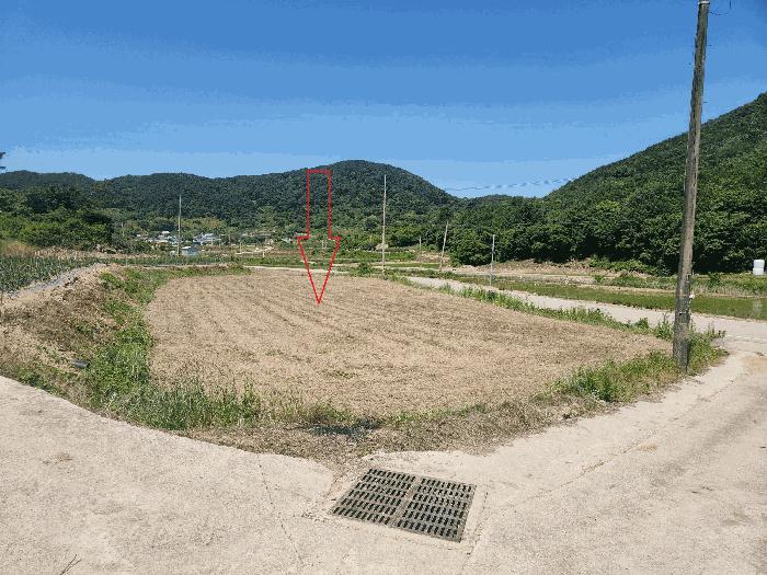 전북특별자치도 정읍시 산외면 정량리 114-14 답 경매 사진 11