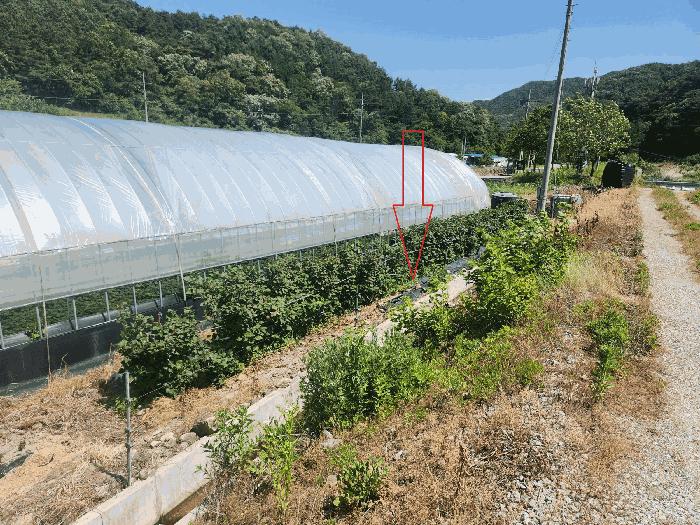 전북특별자치도 정읍시 산외면 정량리 114-14 답 경매 사진 14