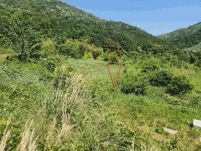 전북특별자치도 정읍시 산외면 정량리 114-14 답 경매 사진 2
