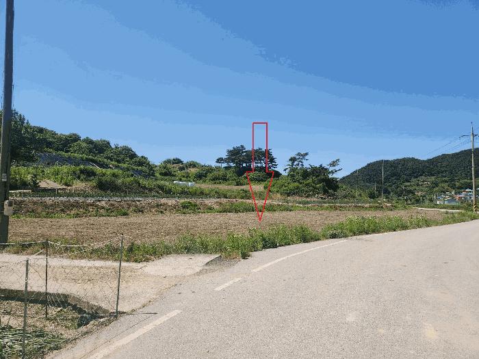 전북특별자치도 정읍시 산외면 정량리 114-14 답 경매 사진 9