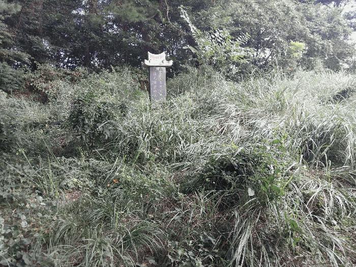전북특별자치도 고창군 흥덕면 용반리 815-7 전 경매 사진 11