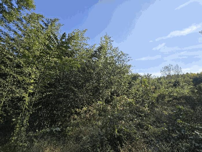 경상남도 사천시 사천읍 구암리 1517-6 창고 경매 사진 14
