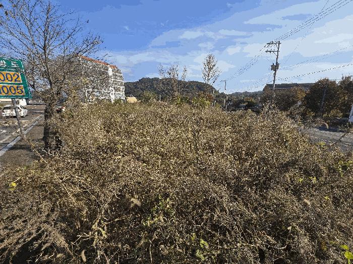 경상남도 사천시 사천읍 구암리 1517-6 창고 경매 사진 3