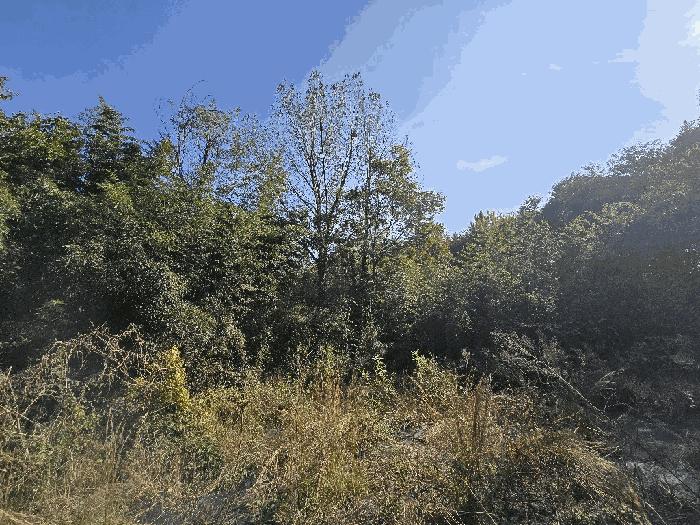 경상남도 진주시 금산면 중천리 935 답 경매 사진 16