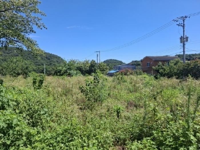 경상남도 진주시 금산면 중천리 1005 전 경매 사진 19
