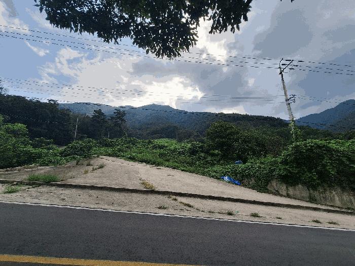 경상남도 산청군 임야
