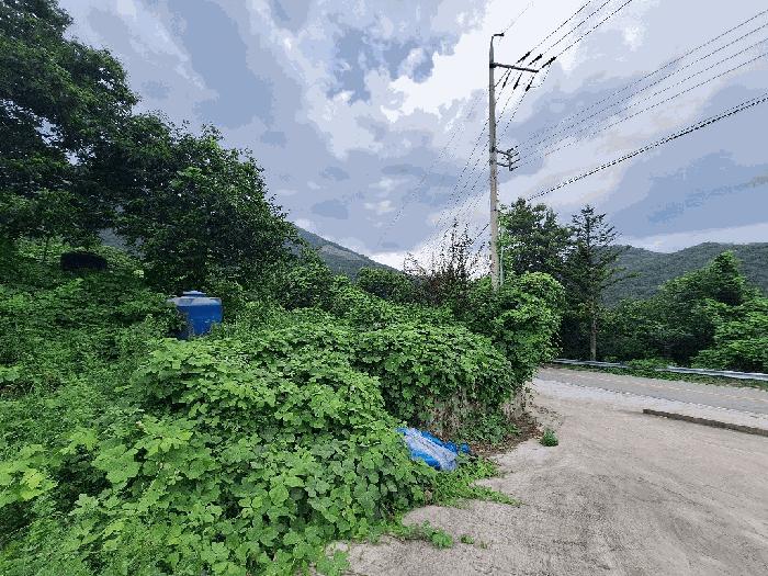 경상남도 산청군 단성면 방목리 산176-6 임야 경매 사진 2