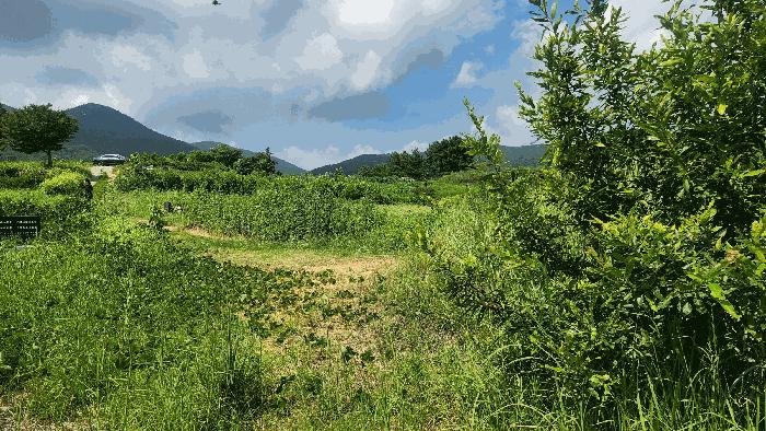 경상남도 남해군 설천면 문항리 1129-1 전 경매 사진 6