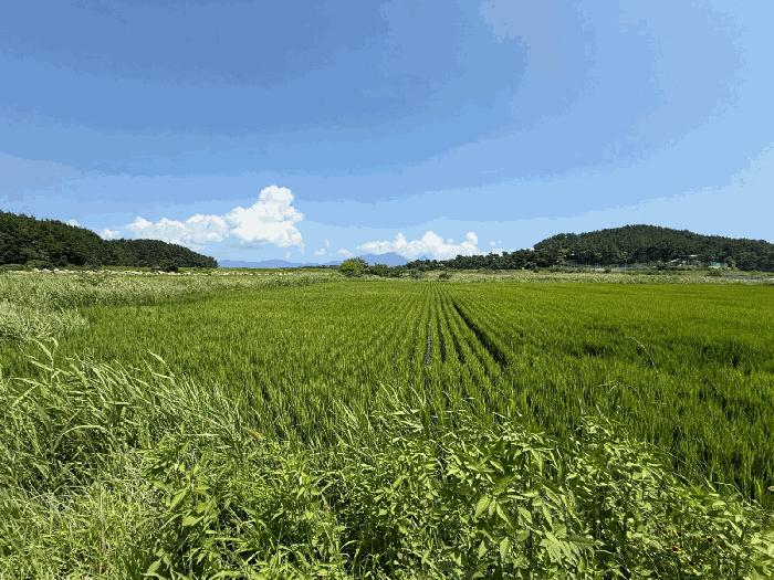 경상남도 사천시 답