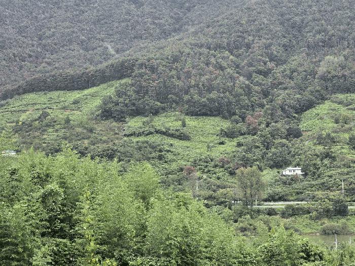 경상남도 하동군 임야