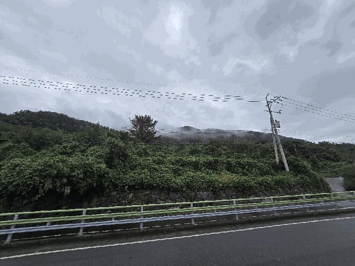 경상남도 하동군 악양면 평사리 산82-1 임야 경매 사진 3