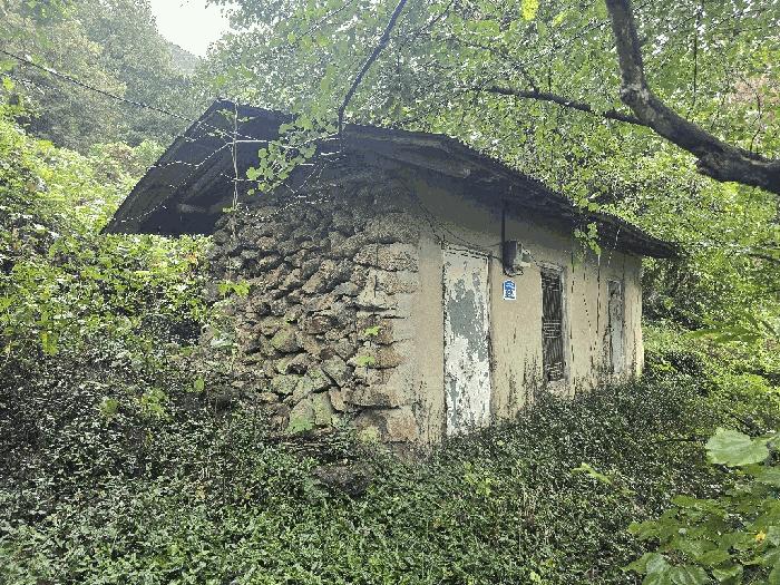 경상남도 하동군 악양면 평사리 산82-1 임야 경매 사진 5