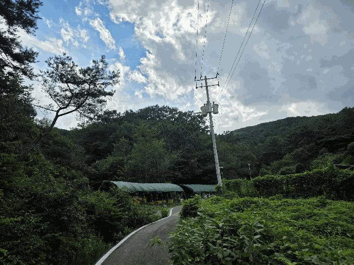 경상남도 진주시 대평면 상촌리 산169 임야 경매 사진 6