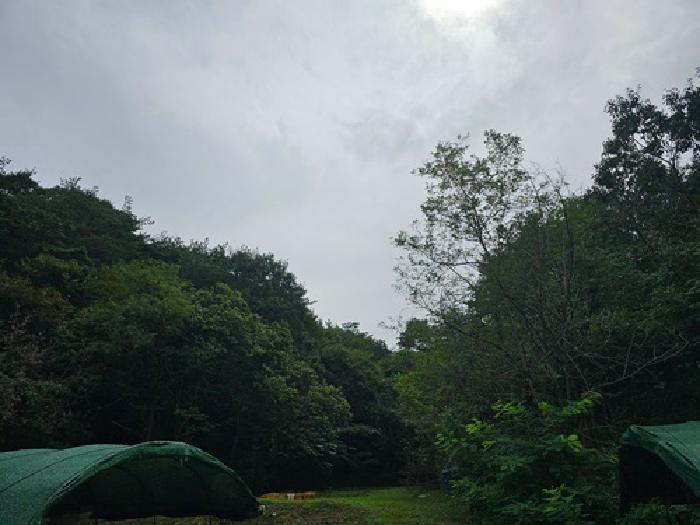경상남도 진주시 대평면 상촌리 산169 임야 경매 사진 8