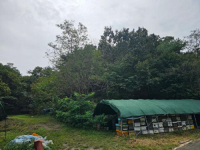 경상남도 진주시 대평면 상촌리 산169 임야 경매 사진 9