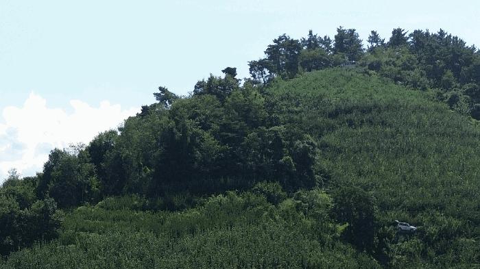 경상남도 사천시 송포동 산185-5 임야 경매 사진 16