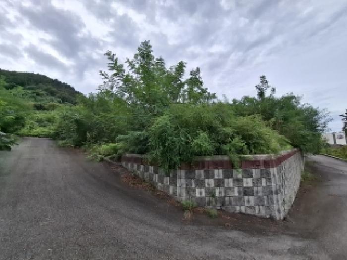 경상남도 사천시 송포동 산185-5 임야 경매 사진 25