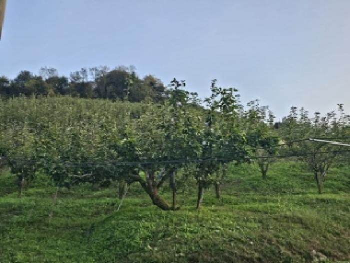 경상남도 사천시 송포동 산185-5 임야 경매 사진 27