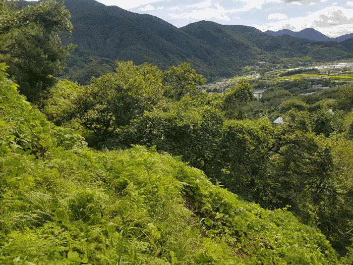 경상남도 산청군 삼장면 대포리 234 전 경매 사진 4