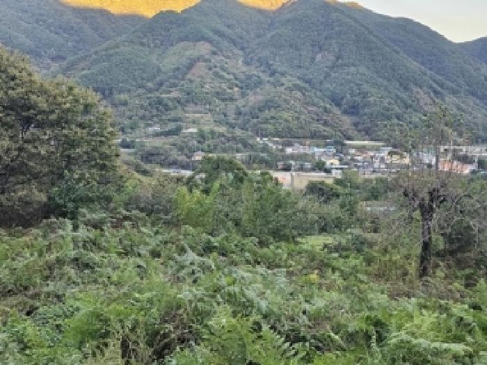 경상남도 산청군 삼장면 대포리 236 전 경매 사진 6