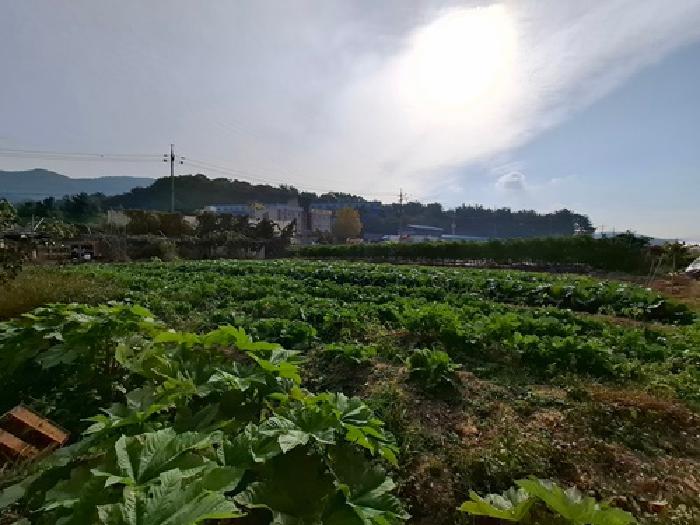 경상남도 사천시 용현면 온정리 432-1 답 경매 사진 32