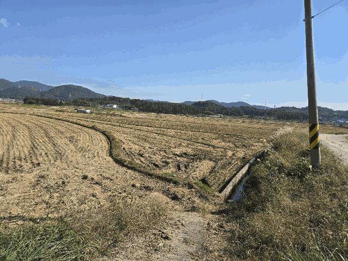 경상남도 사천시 봉남동 167 답 경매 사진 1