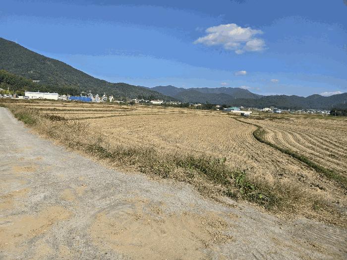 경상남도 사천시 봉남동 167 답 경매 사진 2