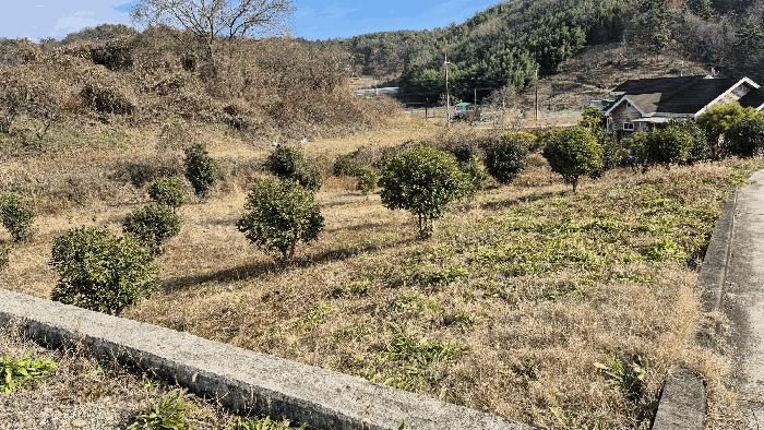 경상남도 진주시 금산면 송백리 299 답 경매 사진 19