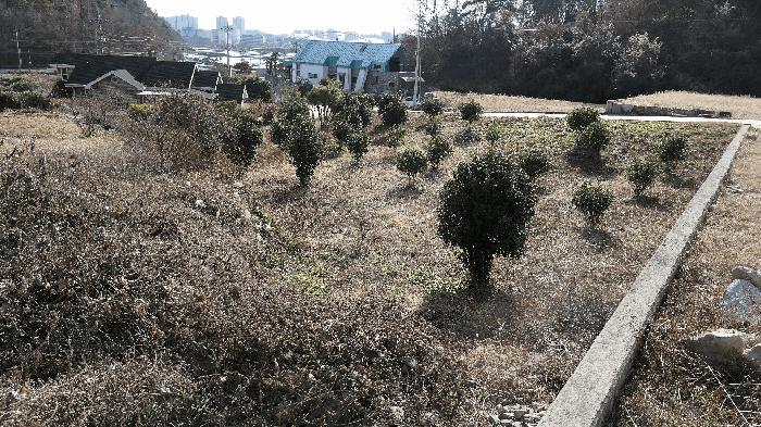 경상남도 진주시 금산면 송백리 299 답 경매 사진 3