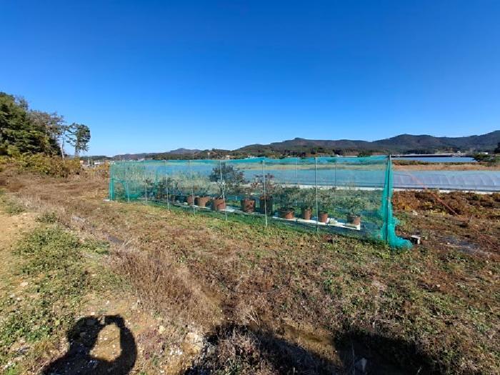 경상남도 남해군 창선면 당저리 220 답 경매 사진 10