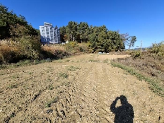 경상남도 남해군 창선면 당저리 220 답 경매 사진 13